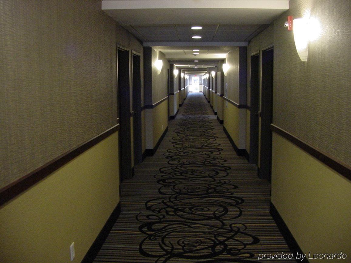 Holiday Inn Express & Suites Fredericksburg By Ihg Extérieur photo